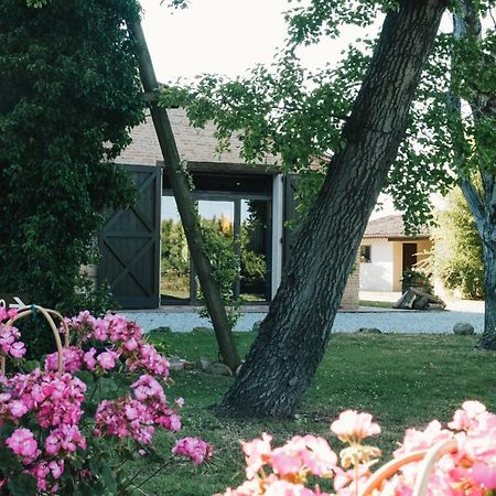 Agriturismo Palazzo Baldini Bagnacavallo Exterior foto